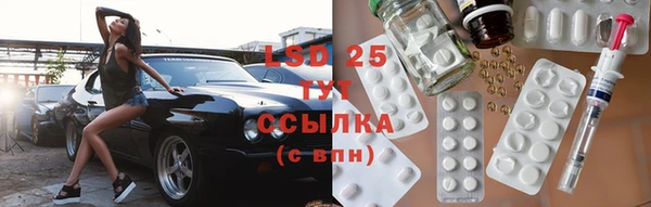 ГАЛЛЮЦИНОГЕННЫЕ ГРИБЫ Алексин