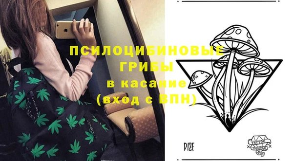 ГАЛЛЮЦИНОГЕННЫЕ ГРИБЫ Алексин