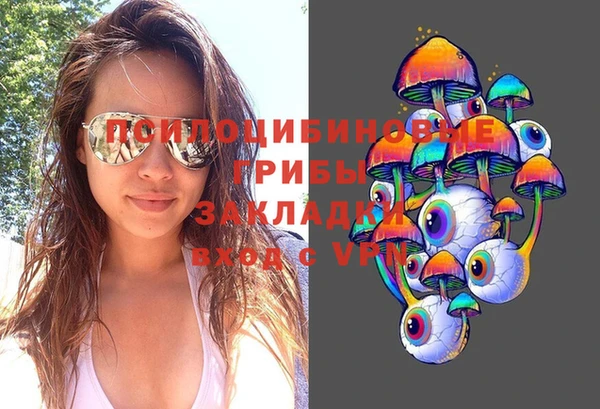 дживик Алексеевка