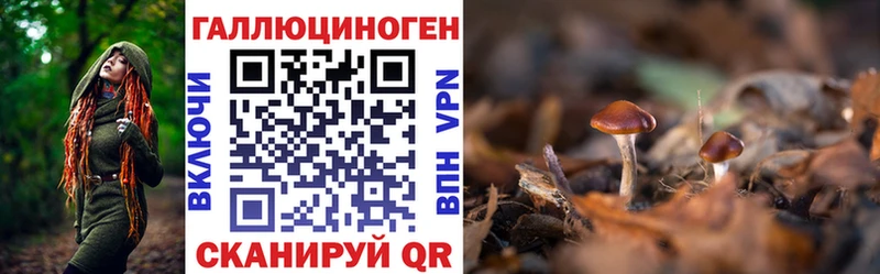 Галлюциногенные грибы мицелий  Боготол 